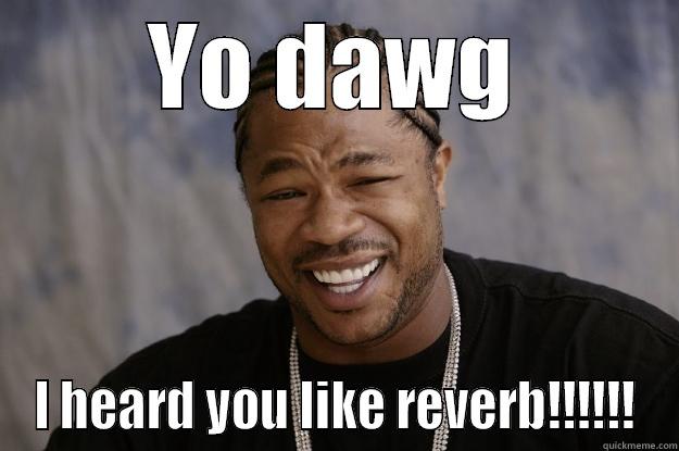 YO DAWG I HEARD YOU LIKE REVERB!!!!!! Xzibit meme