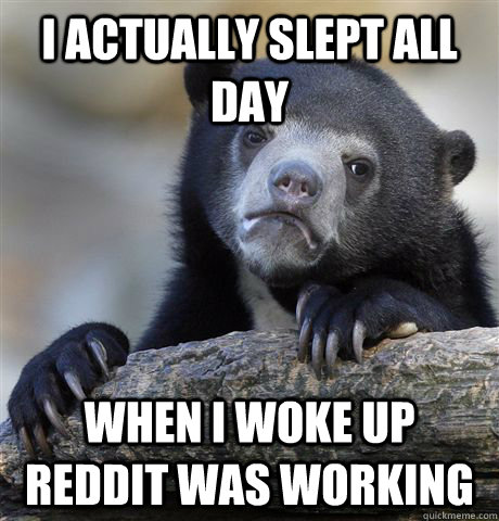 I actually slept all day when I woke up reddit was working - I actually slept all day when I woke up reddit was working  Confession Bear