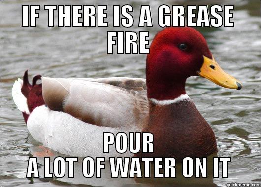 IF THERE IS A GREASE FIRE POUR A LOT OF WATER ON IT Malicious Advice Mallard