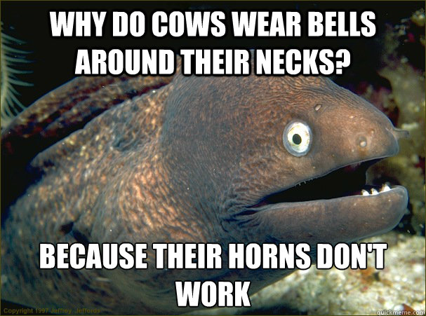 Why do cows wear bells around their necks? Because their horns don't work  Bad Joke Eel