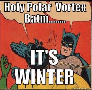 Polar Vortex - HOLY POLAR  VORTEX BATM........ IT'S WINTER Slappin Batman