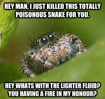 Hey man, I just killed this totally poisonous snake for you. hey whats with the lighter fluid? you having a fire in my honour?  Misunderstood Spider