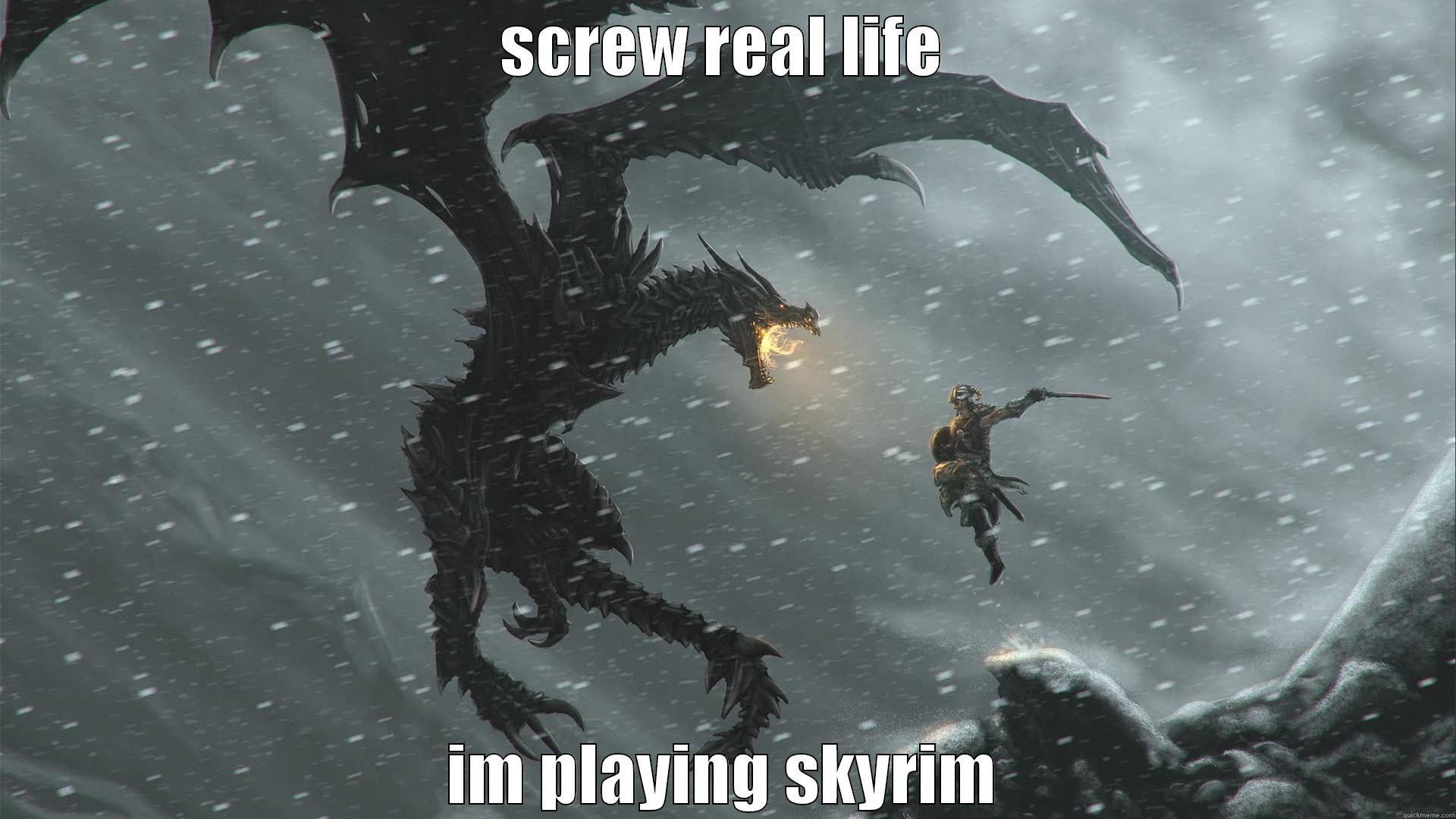 SCREW REAL LIFE IM PLAYING SKYRIM Misc