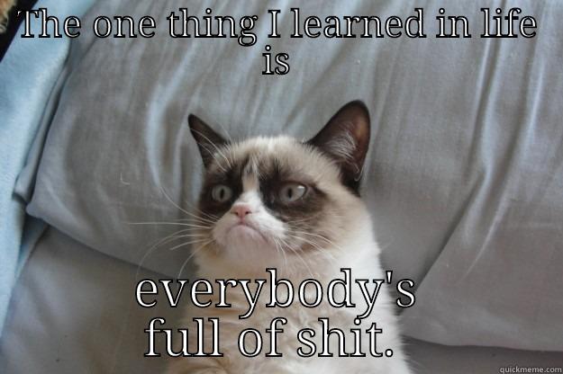 THE ONE THING I LEARNED IN LIFE IS EVERYBODY'S FULL OF SHIT.  Grumpy Cat