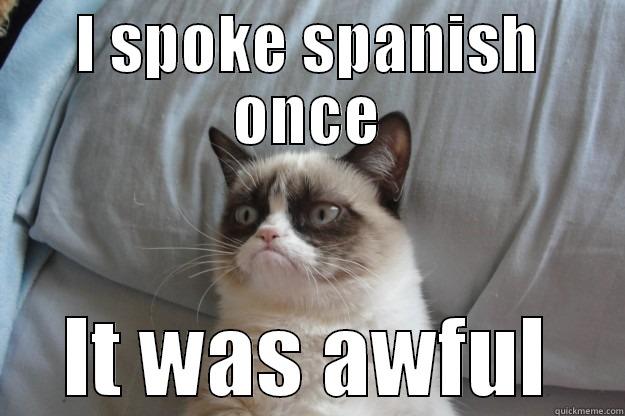 stupid grumpy cat - I SPOKE SPANISH ONCE IT WAS AWFUL Grumpy Cat