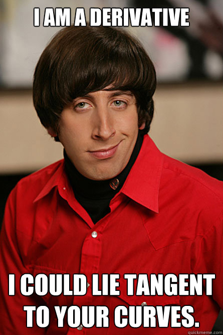 I am a derivative I could lie tangent to your curves.  Pickup Line Scientist