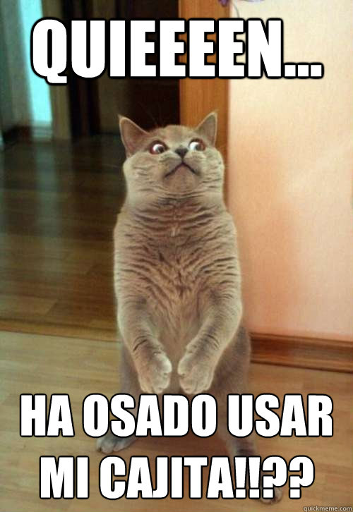 Quieeeen... ha osado usar mi cajita!!??  Horrorcat