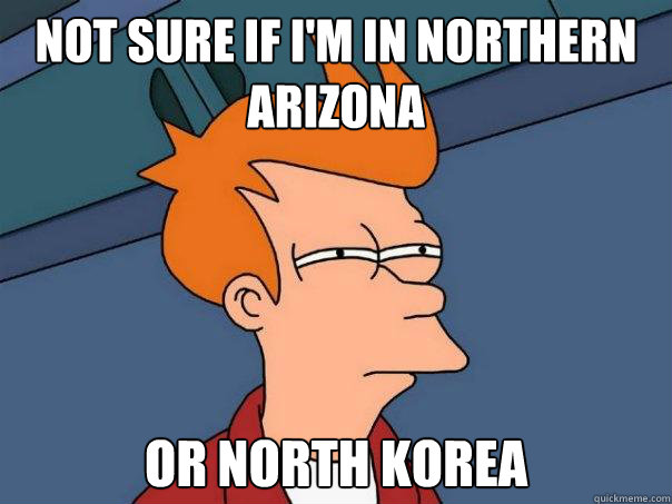 not sure if i'm in northern arizona or north korea  Futurama Fry