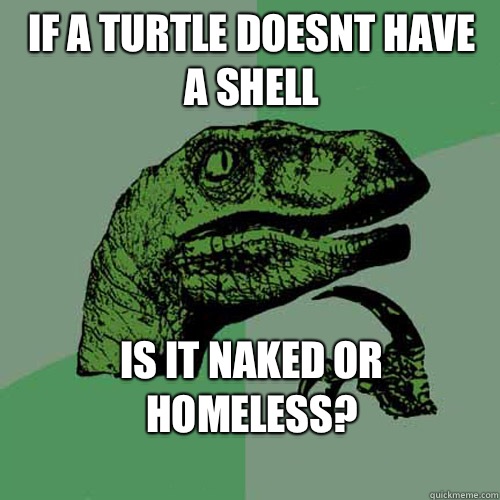 If a turtle doesnt have a shell is it naked or homeless?
  Philosoraptor