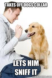 Takes off dogs collar lets him 
sniff it - Takes off dogs collar lets him 
sniff it  Good Guy Dog Owner