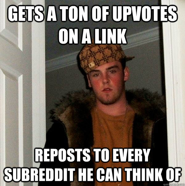 gets a ton of upvotes on a link reposts to every subreddit he can think of - gets a ton of upvotes on a link reposts to every subreddit he can think of  Scumbag Steve