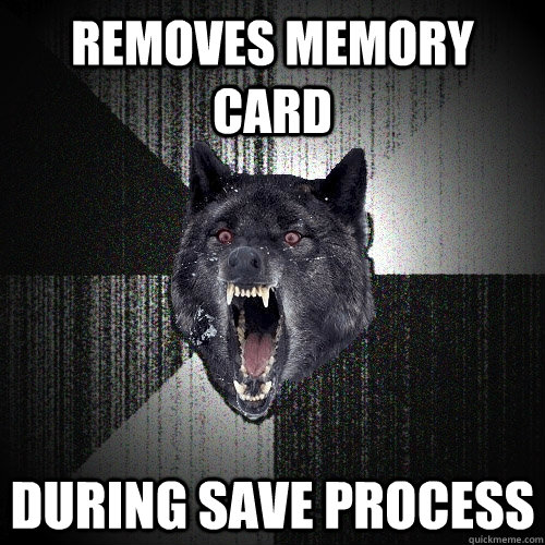 removes memory card during save process  Insanity Wolf