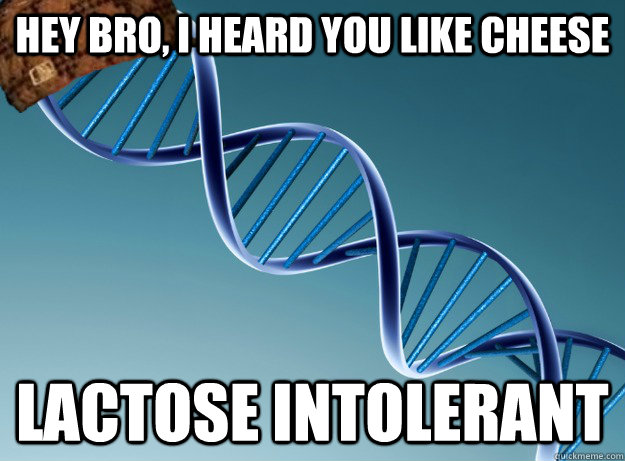 hey bro, i heard you like cheese lactose intolerant  Scumbag Genetics