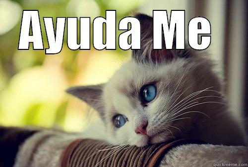 AYUDA ME   First World Problems Cat