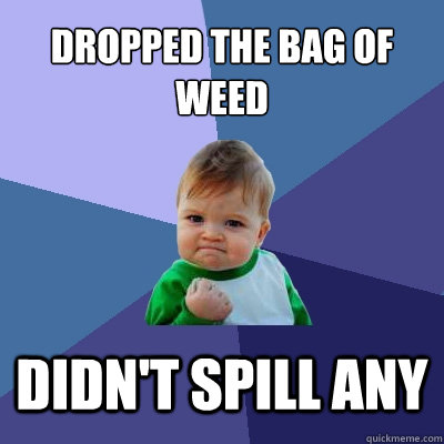 Dropped the bag of weed didn't spill any - Dropped the bag of weed didn't spill any  Success Kid