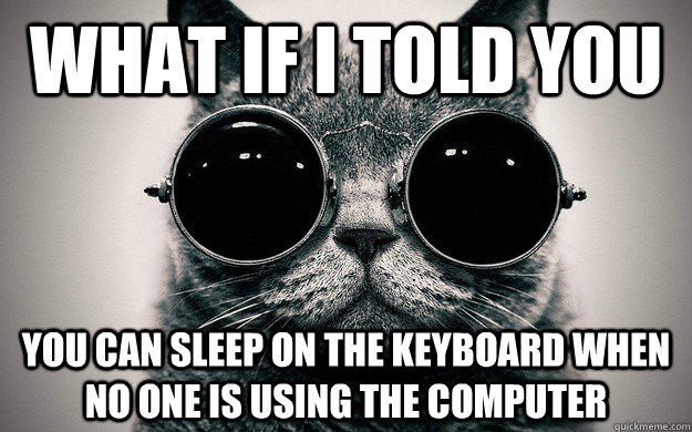What if i told you You can sleep on the keyboard when no one is using the computer  