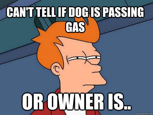 can't tell if dog is passing gas or owner is..  Futurama Fry