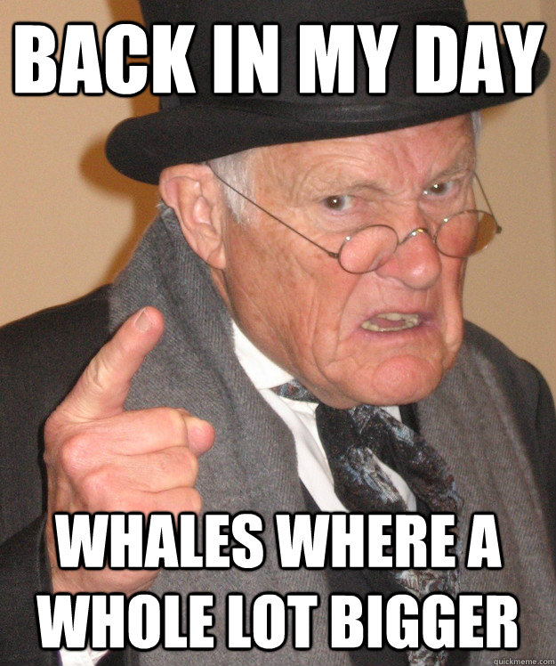 back in my day Whales where a whole lot bigger  back in my day