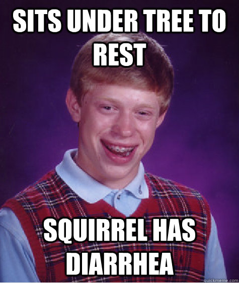 sits under tree to rest squirrel has diarrhea  Bad Luck Brian