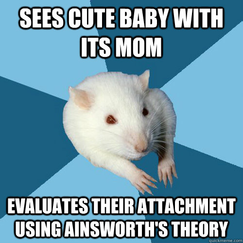 Sees cute baby with its mom evaluates their attachment using Ainsworth's theory  Psychology Major Rat