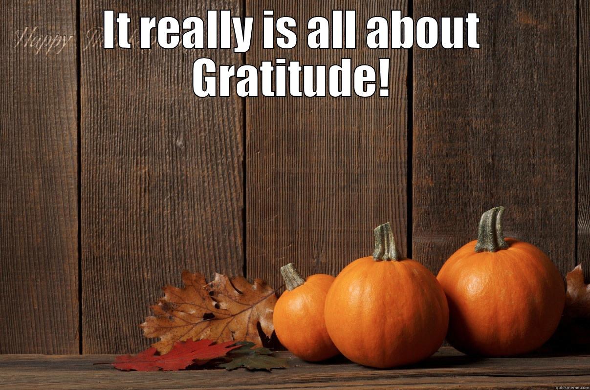 IT REALLY IS ALL ABOUT GRATITUDE!  Misc