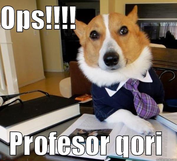 OPS!!!!                     PROFESOR QORI Lawyer Dog