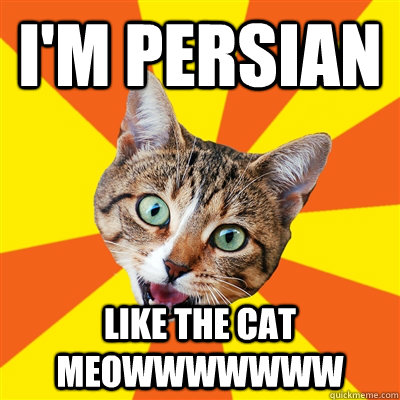 I'M PERSIAN Like the cat MEOWWWWWWW  Bad Advice Cat