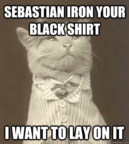 SEBASTIAN IRON YOUR BLACK SHIRT I WANT TO LAY ON IT  Aristocat