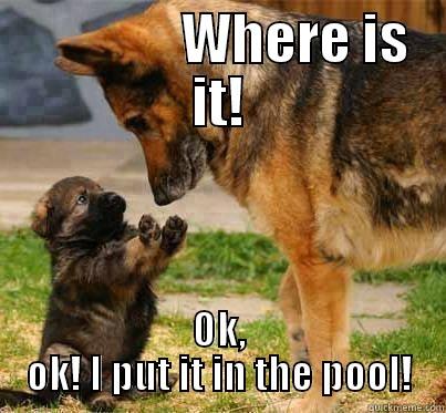               WHERE IS IT! OK, OK! I PUT IT IN THE POOL! Misc