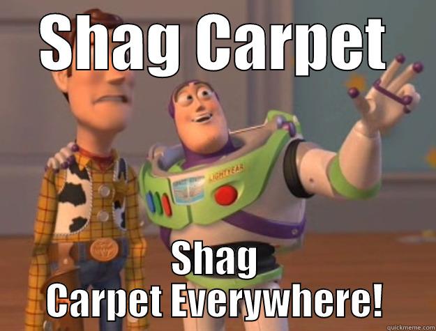 SHAG CARPET SHAG CARPET EVERYWHERE! Toy Story