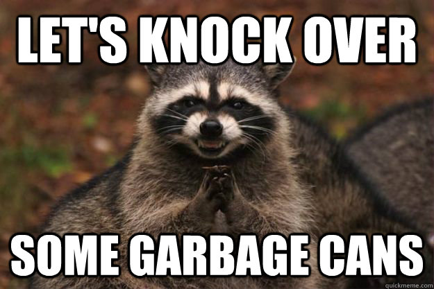 Let's knock over some garbage cans  Evil Plotting Raccoon