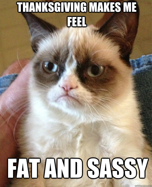 Thanksgiving makes me feel fat and sassy  Grumpy Cat