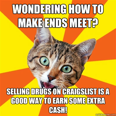 wondering how to make ends meet? selling drugs on craigslist is a good way to earn some extra cash!  Bad Advice Cat