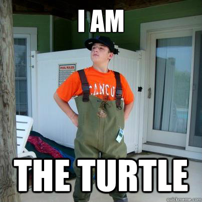 I am The turtle  