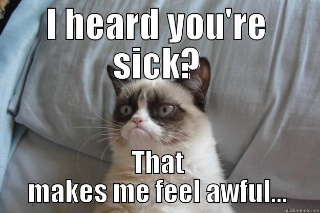 H Sick - I HEARD YOU'RE SICK? THAT MAKES ME FEEL AWFUL... Grumpy Cat