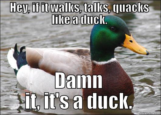 HEY, IF IT WALKS, TALKS, QUACKS LIKE A DUCK. DAMN IT, IT'S A DUCK. Actual Advice Mallard