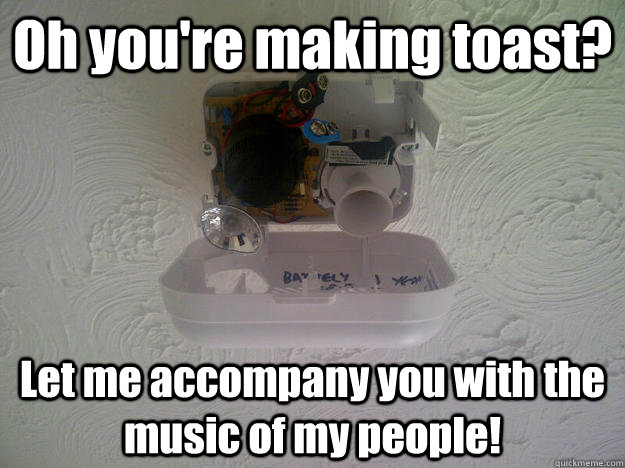 Oh you're making toast? Let me accompany you with the music of my people!  
