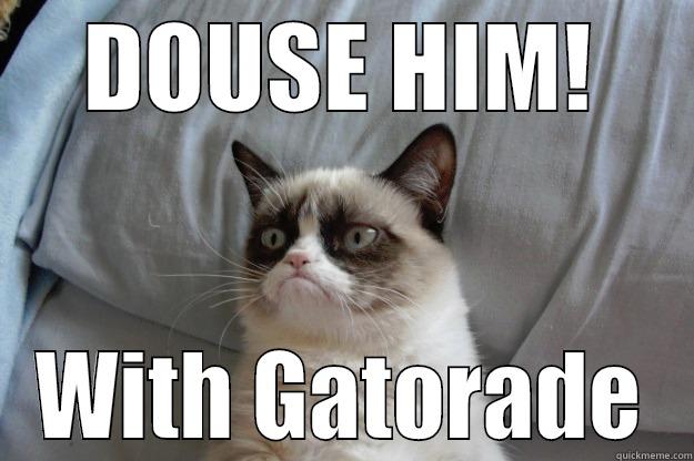 gat cat - DOUSE HIM! WITH GATORADE Grumpy Cat