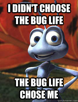 I didn't choose the bug life the bug life chose me  