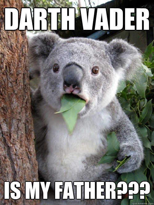 Darth Vader is my father??? - Darth Vader is my father???  koala bear