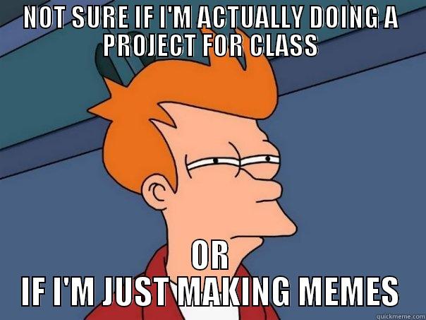 NOT SURE IF I'M ACTUALLY DOING A PROJECT FOR CLASS OR IF I'M JUST MAKING MEMES Futurama Fry