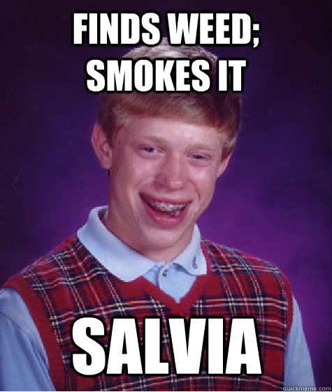 Finds weed; Smokes it Salvia - Finds weed; Smokes it Salvia  Bad Luck Brian