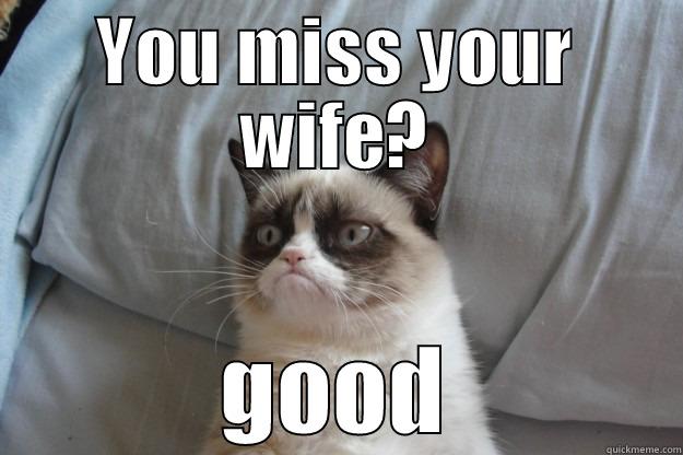 YOU MISS YOUR WIFE? GOOD Grumpy Cat