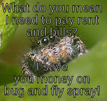 WHAT DO YOU MEAN I NEED TO PAY RENT AND BILLS? I SAVE YOU MONEY ON BUG AND FLY SPRAY! Misunderstood Spider