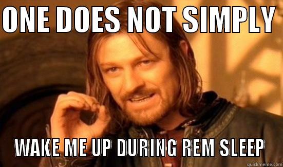 rem sleep - ONE DOES NOT SIMPLY  WAKE ME UP DURING REM SLEEP Boromir