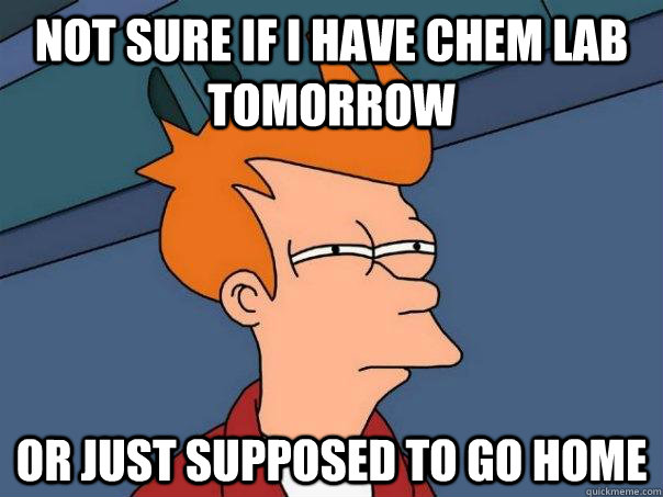 Not sure if I have chem lab tomorrow Or just supposed to go home - Not sure if I have chem lab tomorrow Or just supposed to go home  Futurama Fry