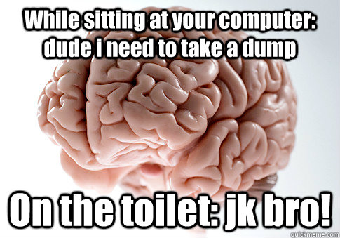 While sitting at your computer: dude i need to take a dump On the toilet: jk bro!   Scumbag Brain