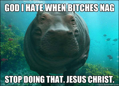 GOD I HATE WHEN BITCHES NAG STOP DOING THAT. JESUS CHRIST. - GOD I HATE WHEN BITCHES NAG STOP DOING THAT. JESUS CHRIST.  Hypocritical Hippo