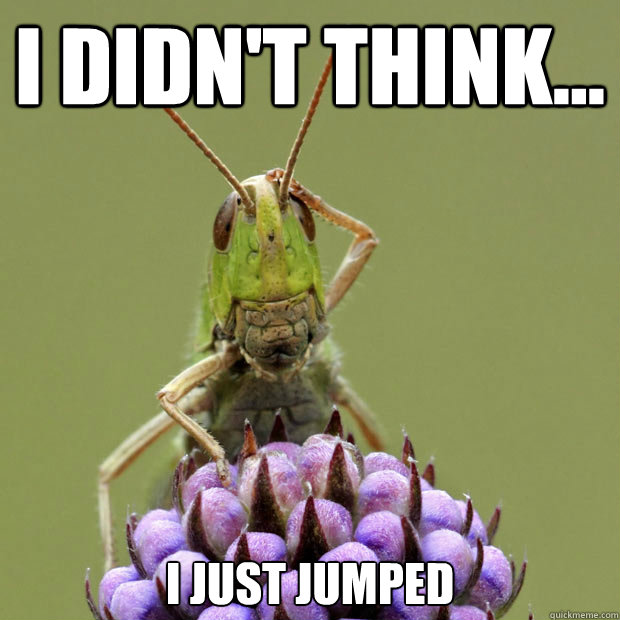 I didn't think... I just jumped  Confused grasshopper