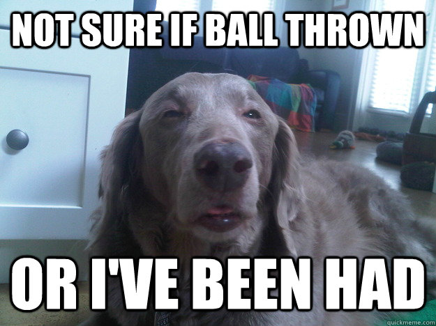 Not sure if ball thrown or I've been had - Not sure if ball thrown or I've been had  Futurama Dog